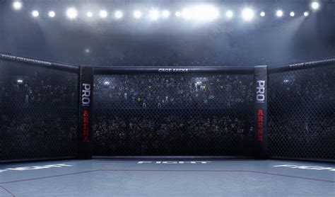 mma wedden|Wedden op de UFC (2024) Zet in op Ultimate Fighting .